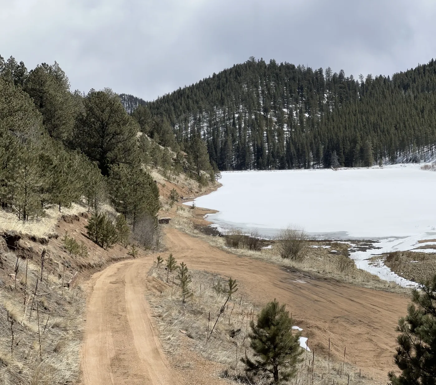 Colorado Cabin